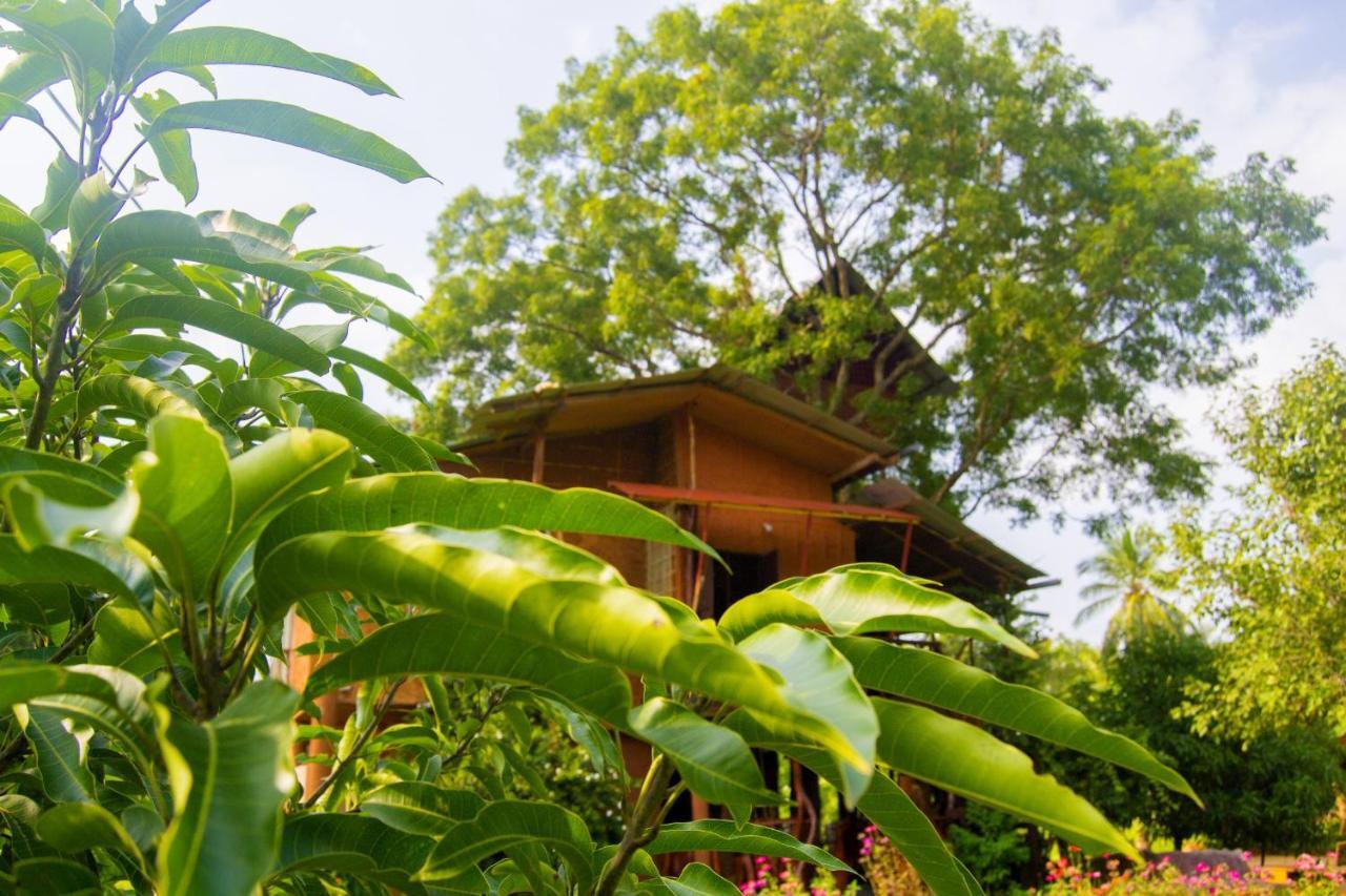 Anushka Nera Nature House Sigiriya Room photo