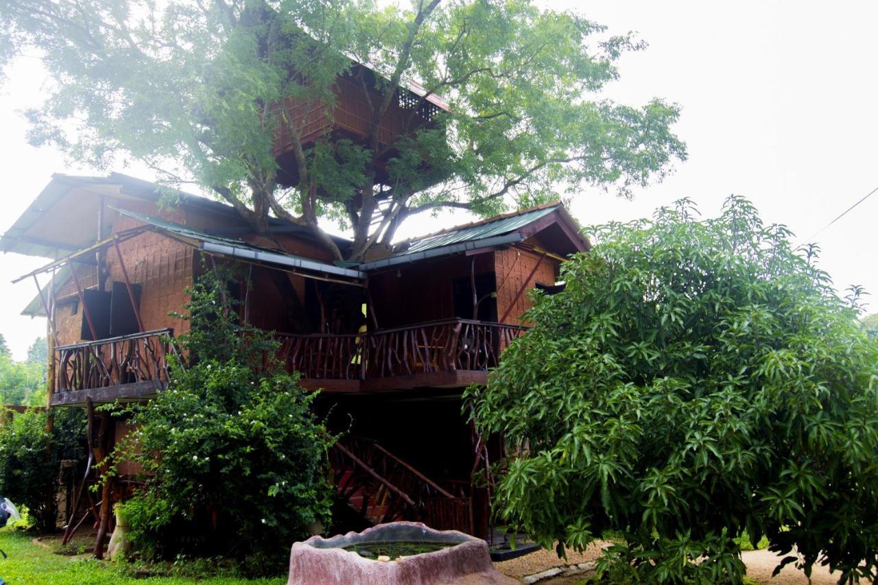 Anushka Nera Nature House Sigiriya Room photo